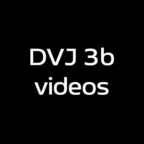 Dvj 3B Videos